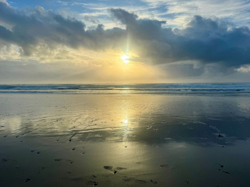 Gallery - Revive Lake Cathie