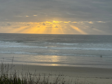 Gallery - Revive Lake Cathie