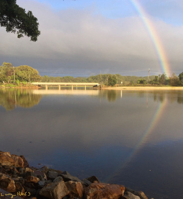 Gallery - Revive Lake Cathie