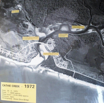 Gallery - Revive Lake Cathie