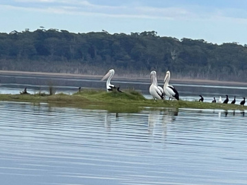 Gallery - Revive Lake Cathie