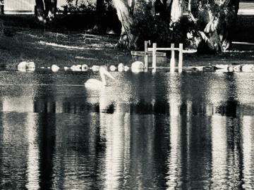 Gallery - Revive Lake Cathie