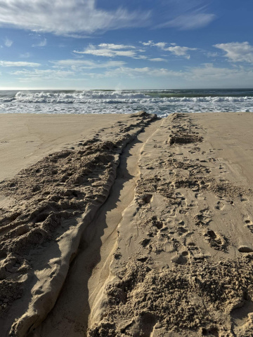 Gallery - Revive Lake Cathie